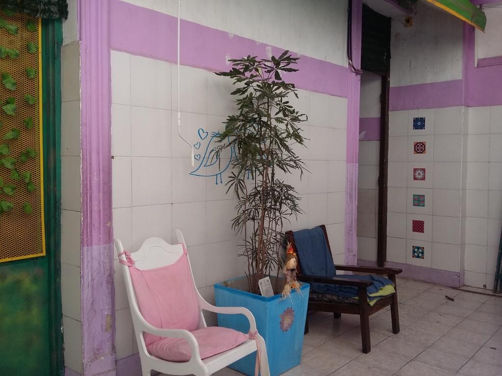 Hospedaje La Rana Buenos Aires Exterior photo
